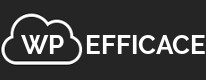 WordPress Efficace logo