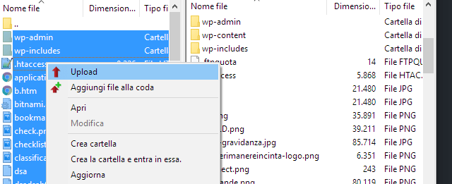 wordpress update files